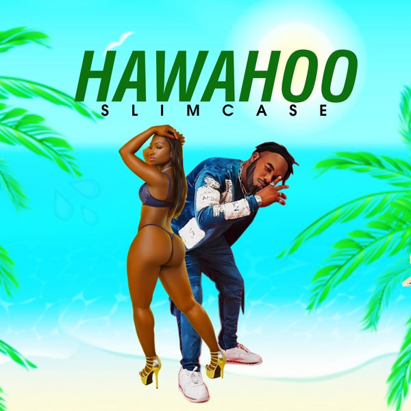 Slimcase-Hawahoo cover art