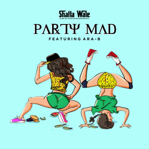 Shatta Wale-Party Mad cover art