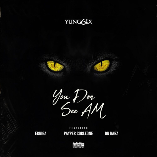 Yung6ix-You Don See Am cover art