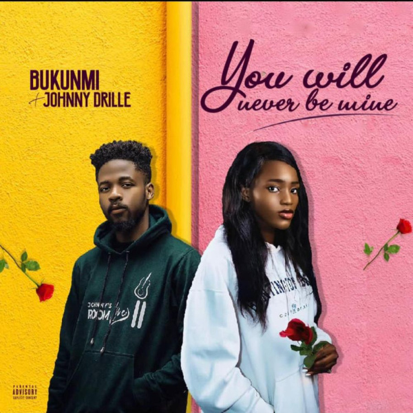 Bukunmi Oluwasina-You Will Never Be Mine cover art