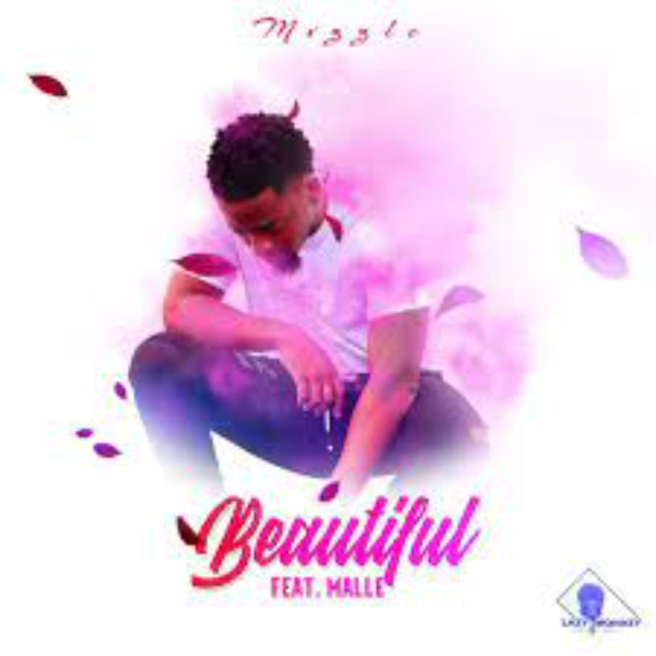 Mvzzle-Beautiful cover art