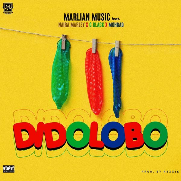 Naira Marley-Dido Lobo cover art