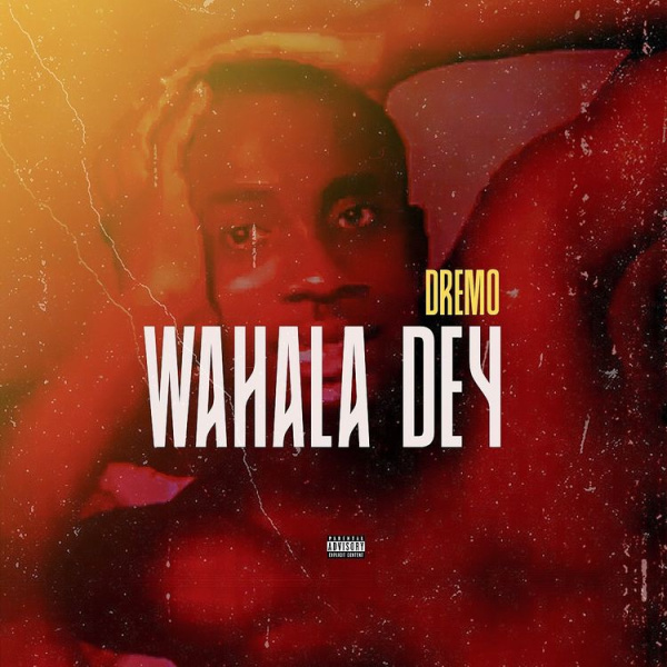 Dremo-Wahala Dey cover art