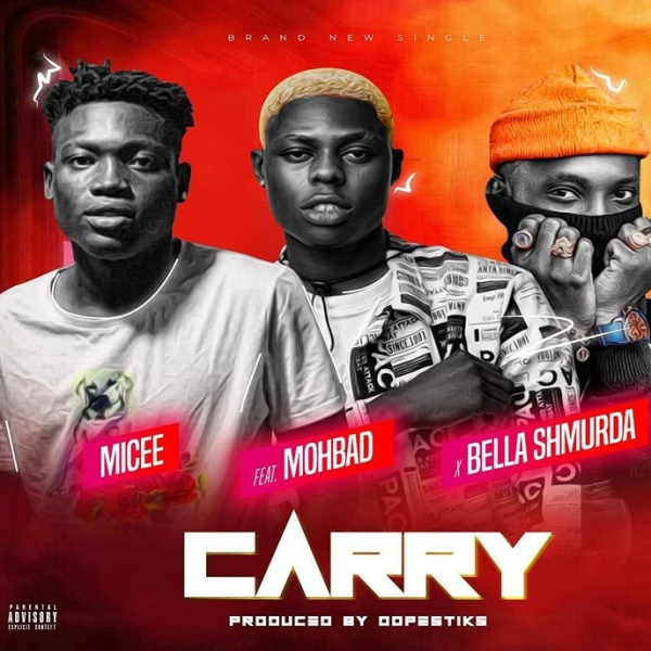 Micee-Carry cover art