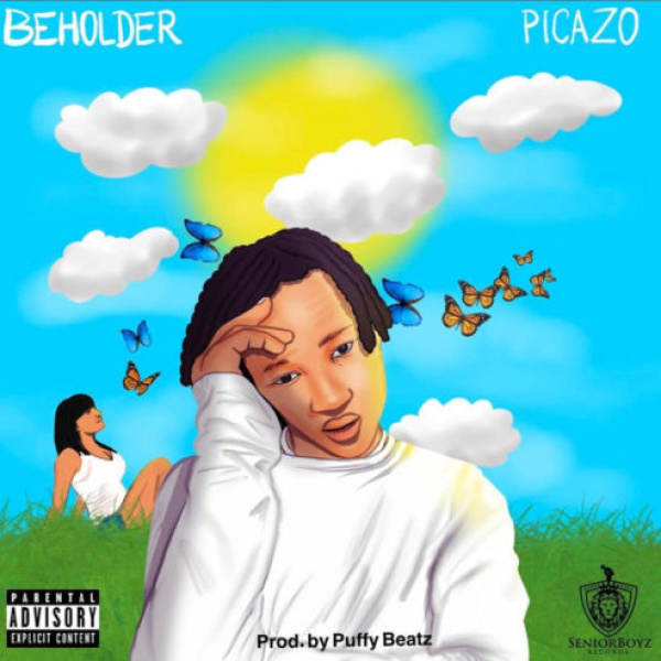 Picazo-Beholder cover art