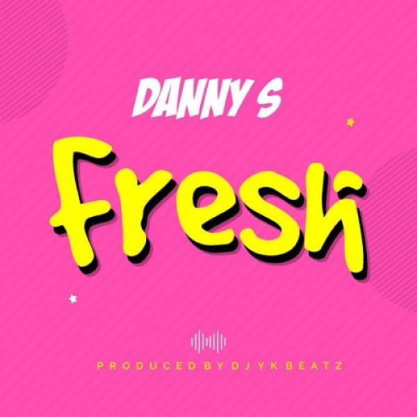 Danny S-Fresh (Freestyle) cover art