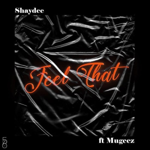 Shaydee-Feel That cover art