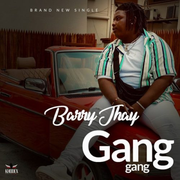 Barry Jhay-Gang Gang cover art