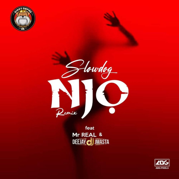 Slowdog-Njo cover art