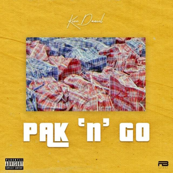 Kizz Daniel-Pak n Go cover art