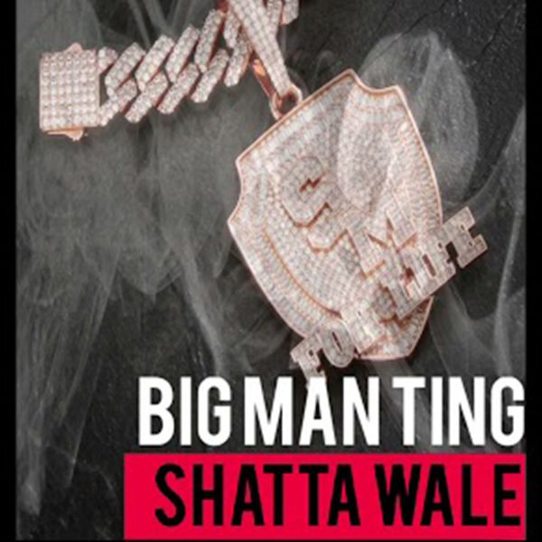 Shatta Wale-Big Man Ting cover art