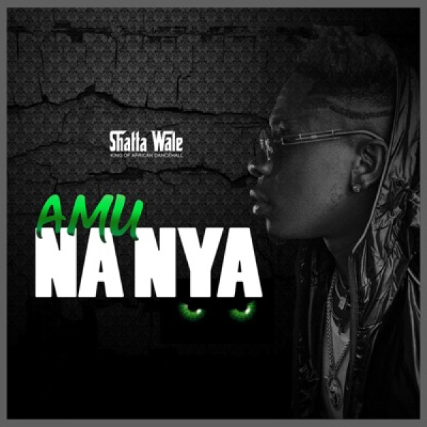 Shatta Wale-Amu Na Nya (Fakers) cover art