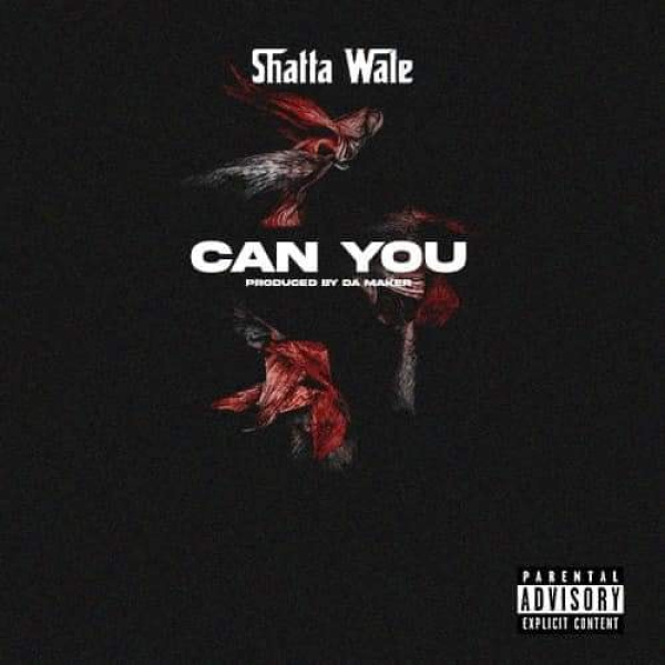 Shatta Wale-Can You cover art