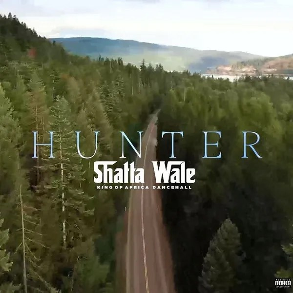 Shatta Wale-Hunter cover art