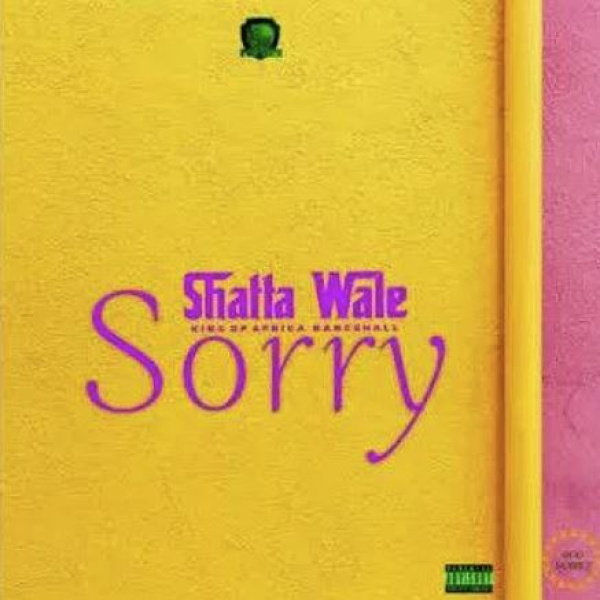 Shatta Wale-Sorry cover art