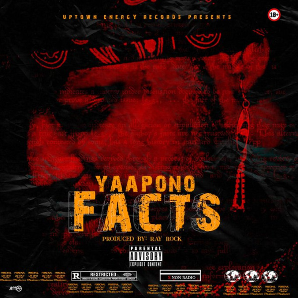 Yaa Pono-Facts (Shatta Wale Diss) cover art