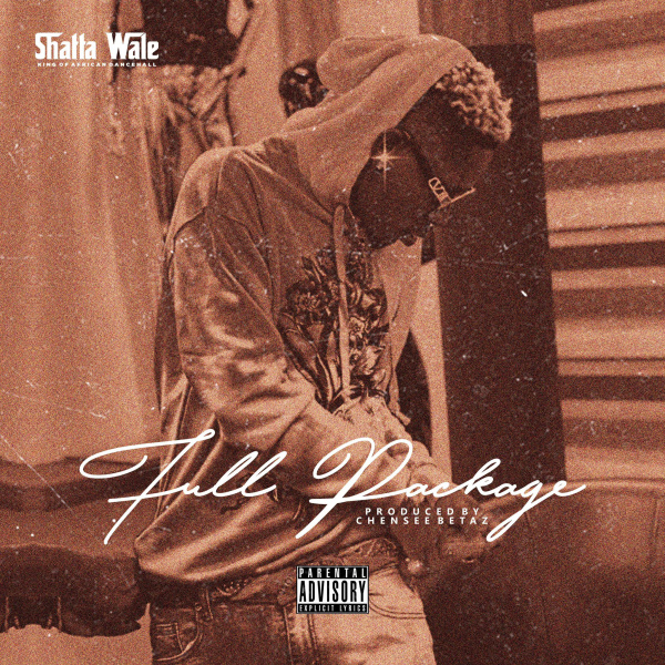 Shatta Wale-Full Package (Samini Diss) cover art