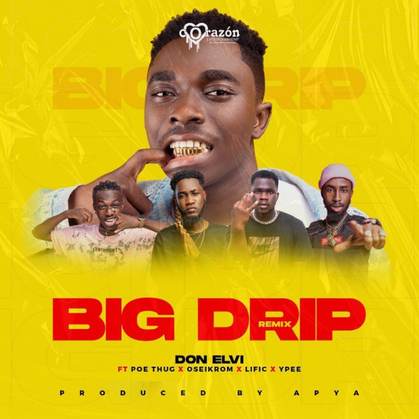 Don Elvi-Big Drip (Remix) cover art