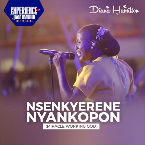 Diana Hamilton-Nsenkyerene Nyankopon cover art