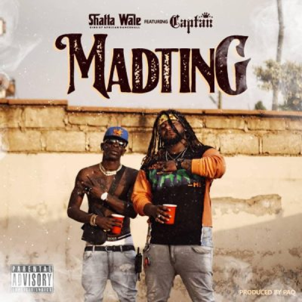 Shatta Wale-Madting cover art