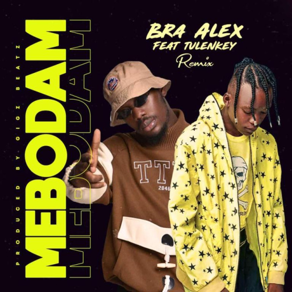 Bra Alex-Mebodam (Remix) cover art