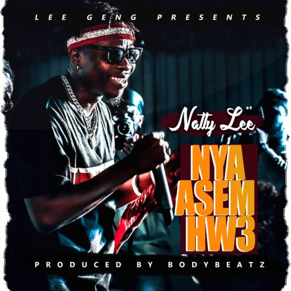 Natty Lee-Nya Asem Hw3 cover art