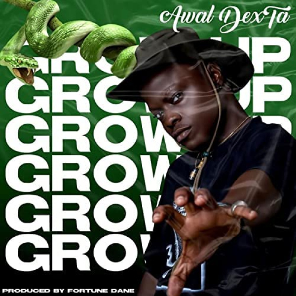 Awal-Grow Up cover art