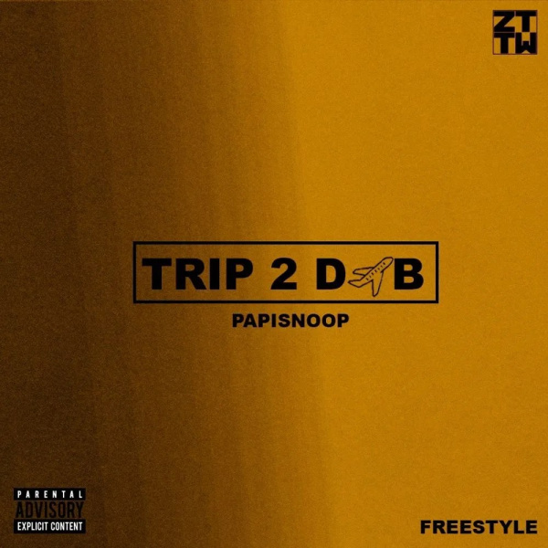 Papisnoop-Trip 2 DXB cover art