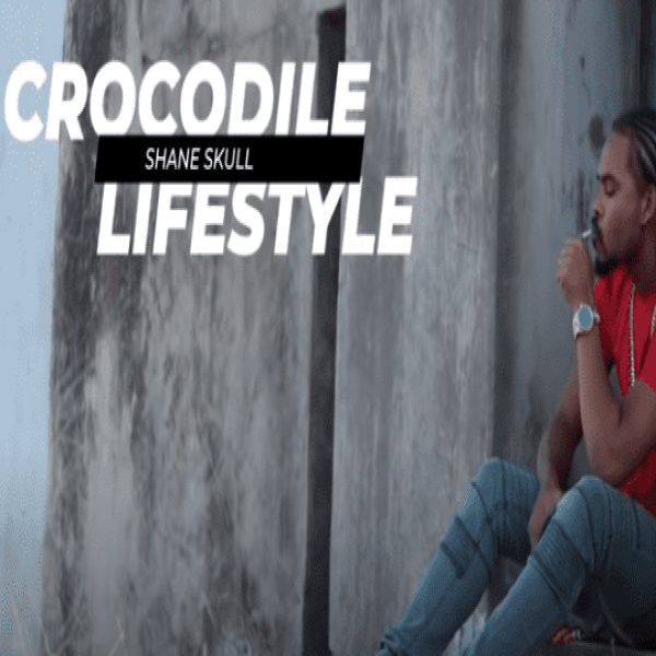 Masicka-Crocodile Lifestyle cover art