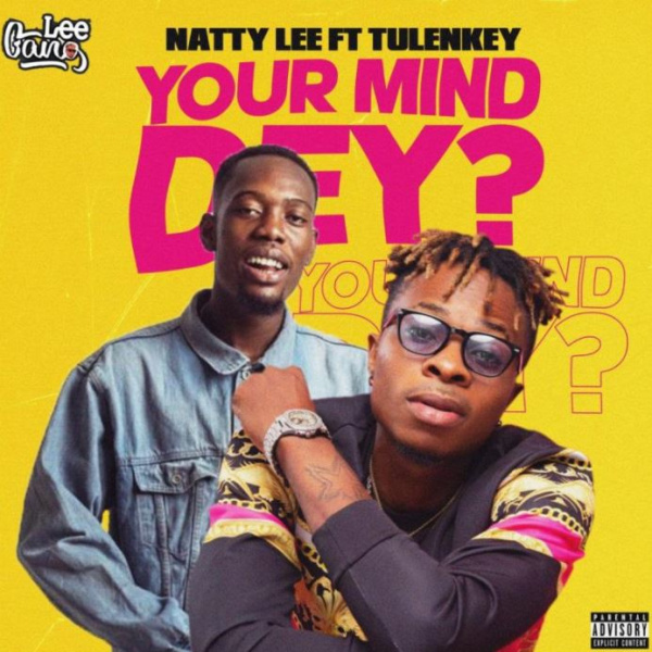 Natty Lee-Ur Mind Dey? cover art