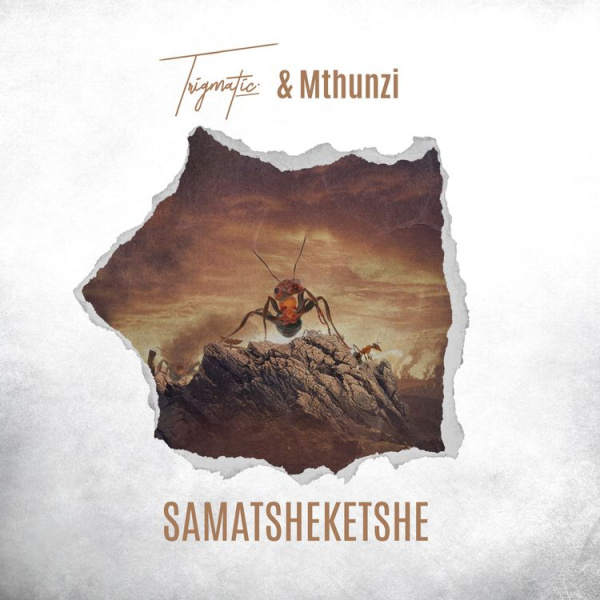 Trigmatic -Samatsheketshe cover art