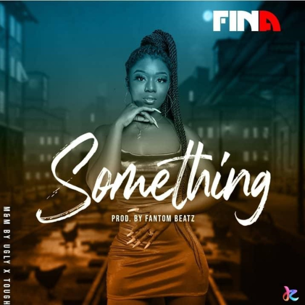 Fina-Something cover art