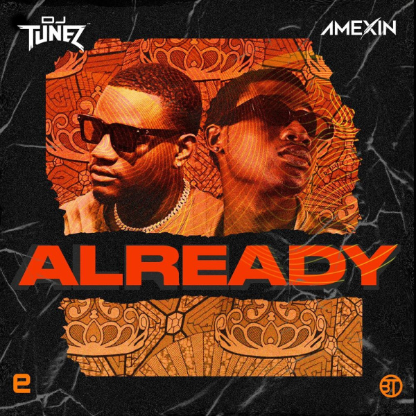 DJ Tunez, Amenix-Already cover art