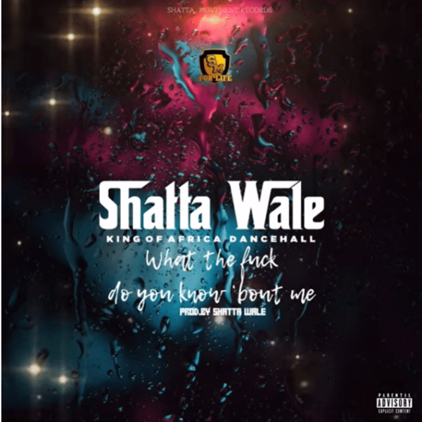 Shatta Wale-What The F*ck Do You Know 'Bout Me cover art