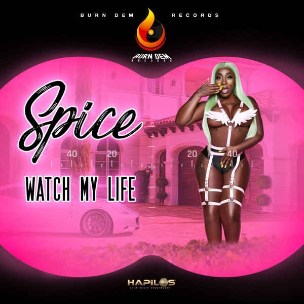 Spice-Watch My Life cover art