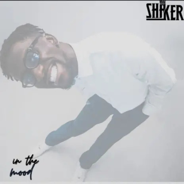 Shaker-In The Mood cover art