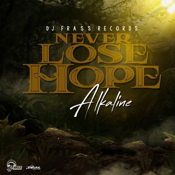 Alkaline-Never Lose Hope cover art