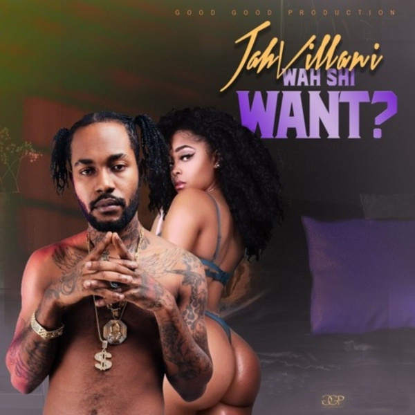 Jahvillani-Wah Shi Want cover art