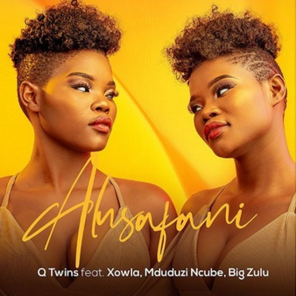 Q Twins-Alusafani cover art