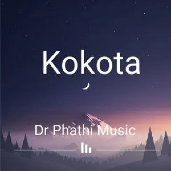 Dr Phathi-Kokota cover art