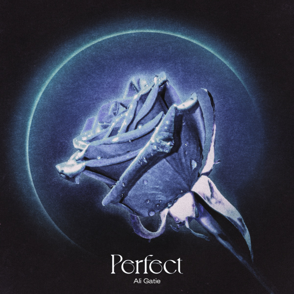 Ali Gatie-Perfect cover art