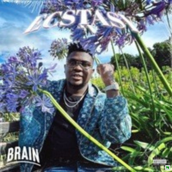 Brain-No Stress cover art