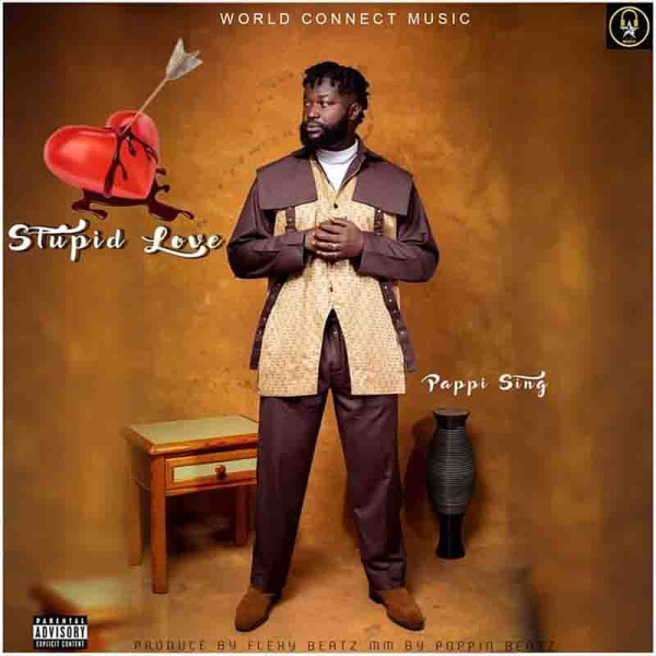 Pappi Sing-Stupid Love cover art