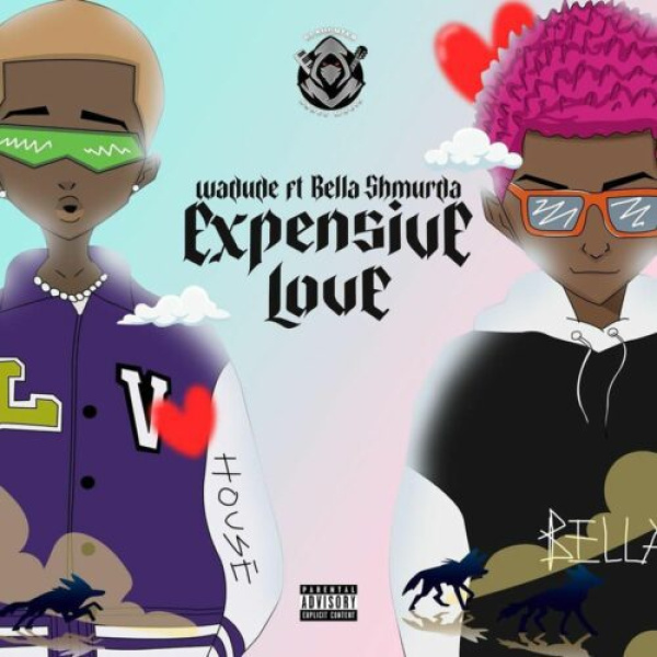 Wadude-Expensive Love cover art