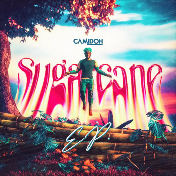 Camidoh-Sugarcane (Sped Up Remix) cover art