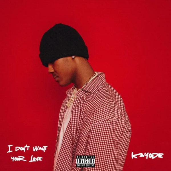 Kayode-I Don't Want Your Love cover art