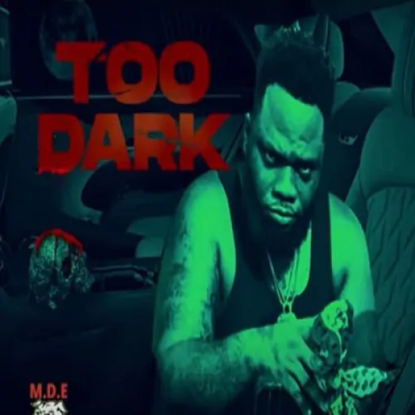 Chronic Law-Too Dark cover art