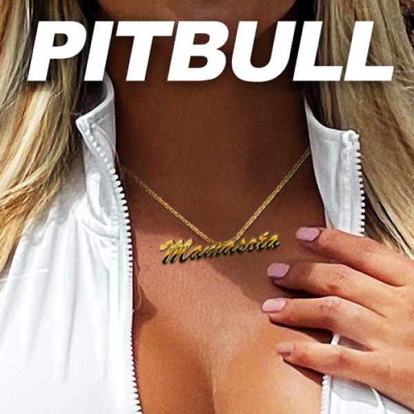 Pitbull-Mamasota cover art