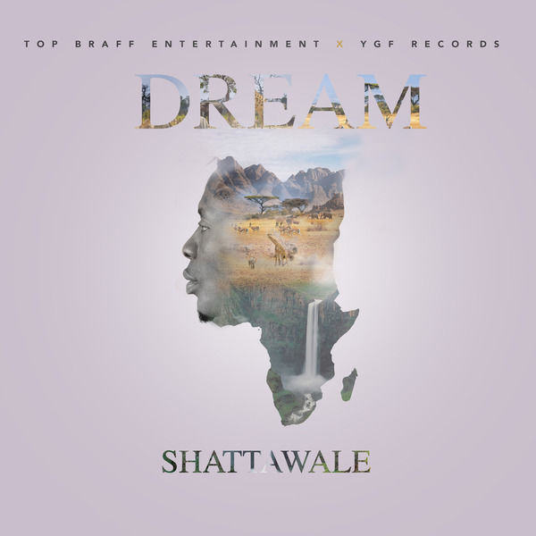 Shatta Wale-Dream cover art