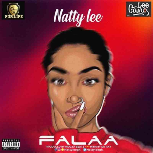 Natty Lee-Falaa cover art